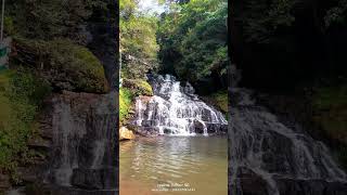 meghalaya tourism travelling viralshorts viralvideo waterfallmeditation waterfallsounds [upl. by Annawaj714]