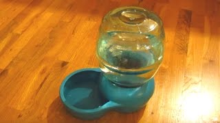 Petco Petmate Water Dispenser Part 4  Water Demo [upl. by Studley129]