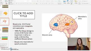 Foundations of Neurolinguistics [upl. by Auqinihs534]