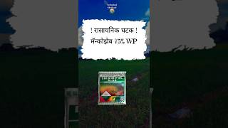 Indofil m45 fungicide farmer agriculture shetakari farming motivation [upl. by Eirrab]