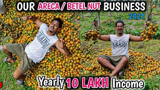 ARECA NUT FARMING  BETEL NUT CULTIVATION  Our Income In 2021💰Supari Kheti Kaise Hoti Hai [upl. by Woolley]