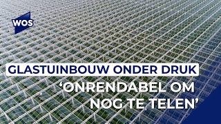 Glastuinbouw Nederland over nieuwe wet Onrendabel om nog groente of planten te telen [upl. by Samara974]