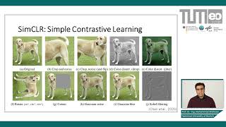 SelfSupervised Learning  Contrastive Representation Learning [upl. by Fonzie]