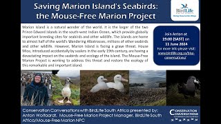 Conservation Conversations Saving Marion Islands Seabirds Dr Anton Wolfaardt 11June2024 [upl. by Surat]