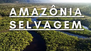 Amazônia Selvagem  Berço da vida  Documentário dublado HD [upl. by Helban]