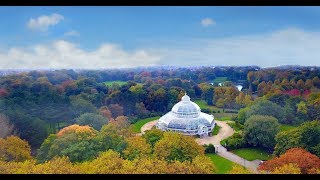 Sefton Park Liverpool Drone Footage October 2017 [upl. by Nanni]