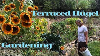 One Year Of Terraced Hügelkultur Gardening [upl. by Ramiah]