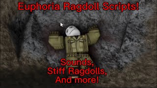 I made a Euphoria Ragdoll game in Roblox  War melons Ragdoll scripts [upl. by Diella]