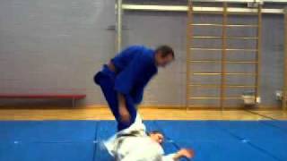 25 Traditional Japanese JiuJitsu Throws [upl. by Sparky]