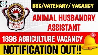 Animal Husbandry Dept AP Animal Husbandry Assistant Online Form 2023  POST 1896  BSCVATENARY [upl. by Ignatia109]