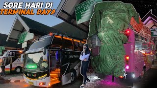 ADA BUS NON AC MAKASSAR  GORONTALO  TERMINAL DAYA MAKASSAR SORE HARI [upl. by Yhprum]