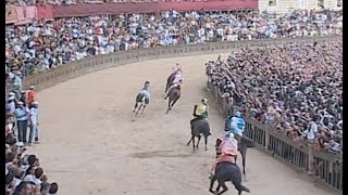 Palio di Siena Horse Race Italy 16th August 2007 [upl. by Markiv]