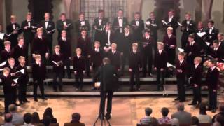 Estonian National Opera Boys ChoirEstland Magnificat EJCF Basel 2014 [upl. by Ansilma]