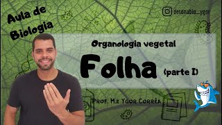 Botânica Aula 17  Organologia vegetal  Folha parte I [upl. by Linetta954]