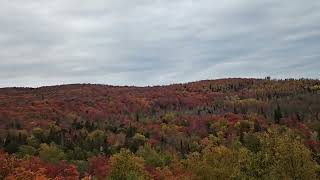 Lutsen Mountains Falls Color October 2024 [upl. by Lednek]