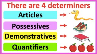 DETERMINERS 🤔  Articles Possessives Demonstratives amp Quantifiers  Learn with examples [upl. by Egedan]