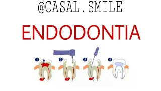 PASSO A PASSO ENDODONTIA  POLPA VIVA [upl. by Giza]