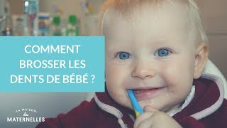 Comment brosser les dents de bébé   La Maison des Maternelles LMDM [upl. by Mcnamara]