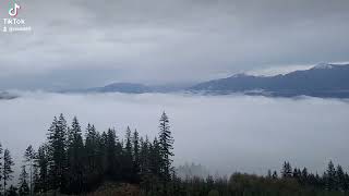 cartmel creek lookout with a couple friends great view [upl. by Lindholm]