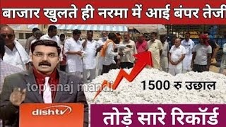 Aaj Ka Narma ka bhav नरमा कपास का मंडी रेट आज कपास में तूफानी तेजी देखें भावcotton Price Todey [upl. by Aldon]