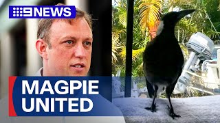 Queensland Premier announces plan to reunited Molly the Magpie with family  9 News Australia [upl. by Nnaeirrac]