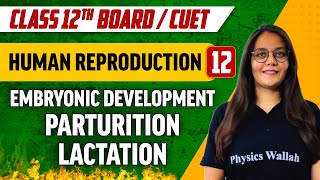 Human Reproduction 12  Embryonic Development Parturition Lactation  Class 12thCUET [upl. by Ilan652]