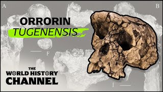 The Oldest Human Remains Ever Discovered  Search For The First Human  The World History Channel [upl. by Alhak34]