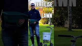 When is the best time to use fertiliser for the best lawncare results shorts [upl. by Latsyrc]