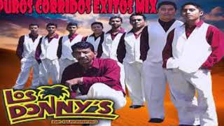 Los Donnys de Guerrero en VIVO Mix Corridos  2021 [upl. by Jed192]