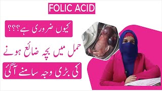 Folic Acid Importance During Pregnancy amp Risks of DeficiencyA Complete Guide for Expecting Mothers [upl. by Inafetse]