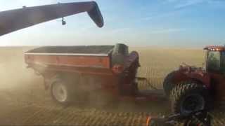 Huge farm in Alberta canada over 65 000 acres BampD WALTER FARMS Walters harvesting [upl. by Efinnej]