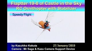 フラップター：Flaptter198 Flight with Stabilizer Good Speedy Flight [upl. by Dyoll]