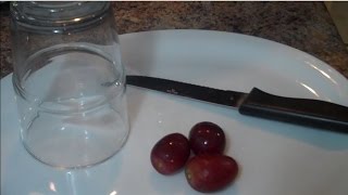 How To Make PLASMA At Home With Grapes [upl. by Ater607]