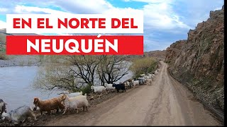 En el norte del Neuquen Los Miches [upl. by Shalne]