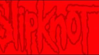 slipknot custer lyrics [upl. by Novy]