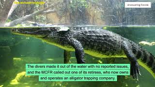 Giant gator halts stolen car recovery in Florida [upl. by Epp]