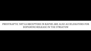 STAHLS  CH 5  PART 18  PRESYNAPTIC 5HT1A RECEPTORS psychiatrypharmacologypsychopharmacology [upl. by Gunas]