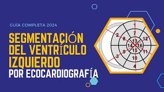 🚀SEGMENTACIÓN DEL VENTRÍCULO IZQUIERDO por Ecocardiografía 📋Guía Completa 2024 [upl. by Gaal799]