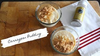 Carrageen Irish Moss pudding [upl. by Maletta]