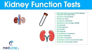 Kidney Function Tests and Interpretation of Results [upl. by Duthie]