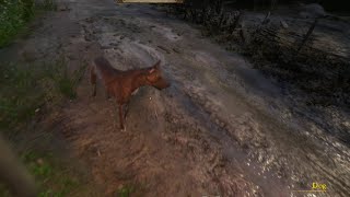 Its About The Journey  Kingdom Come Deliverance Episode 22 [upl. by Tuck]