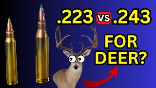 223 vs 243 for Deer Hunting [upl. by Irakab]