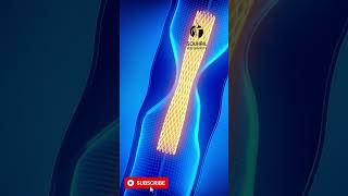 Angioplasty stent animation [upl. by Notsew]