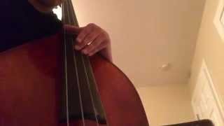 Double Bass Wolf Tone [upl. by Donough644]