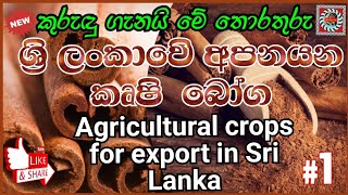 ශ්‍රි ලංකාවෙි අපනයන කෘෂි බෝගAgricultural crops for export in Sri LankaAnamanama tv [upl. by Atikam524]