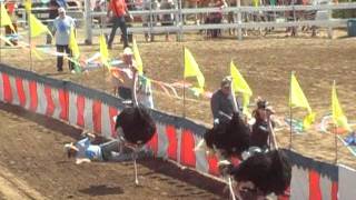 52nd Annual Camel Races Virginia City 91111 [upl. by Radmen993]