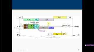 Avian leukosissarcoma group [upl. by Nesrac118]