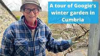 A tour of Googie’s winter garden in Cumbria [upl. by Erina134]