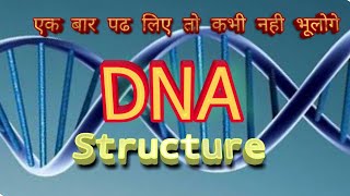 Dna structure in hindi [upl. by Soloma]