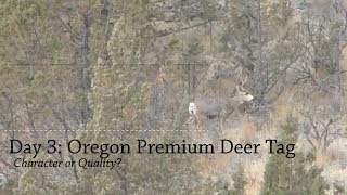 Book Cliff Mountains Mule Deer Hunt [upl. by Ahtan]